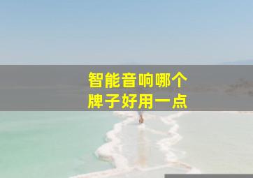 智能音响哪个牌子好用一点