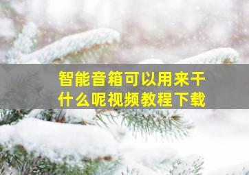 智能音箱可以用来干什么呢视频教程下载