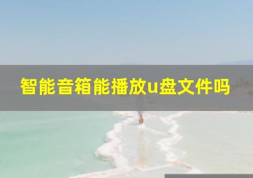 智能音箱能播放u盘文件吗