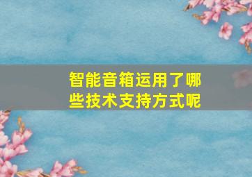 智能音箱运用了哪些技术支持方式呢