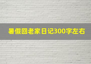 暑假回老家日记300字左右