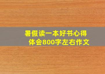 暑假读一本好书心得体会800字左右作文