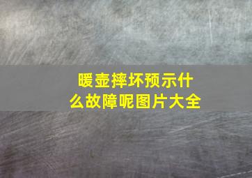 暖壶摔坏预示什么故障呢图片大全