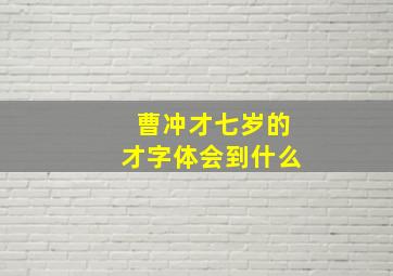 曹冲才七岁的才字体会到什么