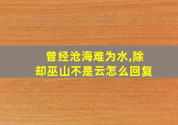 曾经沧海难为水,除却巫山不是云怎么回复