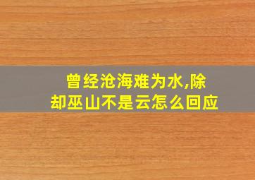 曾经沧海难为水,除却巫山不是云怎么回应