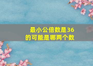 最小公倍数是36的可能是哪两个数