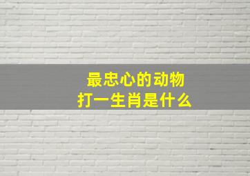 最忠心的动物打一生肖是什么