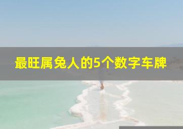 最旺属兔人的5个数字车牌