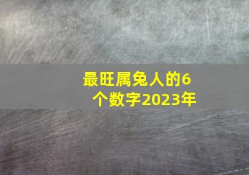 最旺属兔人的6个数字2023年