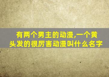 有两个男主的动漫,一个黄头发的很厉害动漫叫什么名字