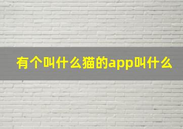 有个叫什么猫的app叫什么