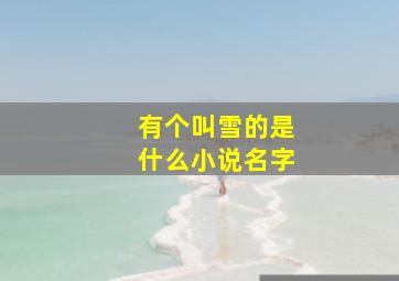 有个叫雪的是什么小说名字