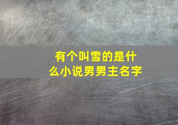 有个叫雪的是什么小说男男主名字