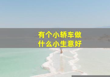 有个小轿车做什么小生意好