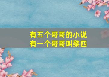 有五个哥哥的小说有一个哥哥叫黎四