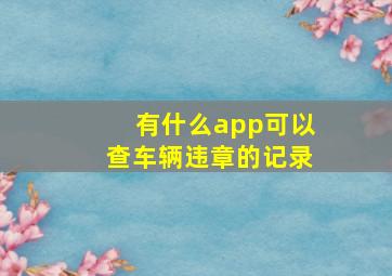 有什么app可以查车辆违章的记录