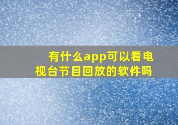 有什么app可以看电视台节目回放的软件吗