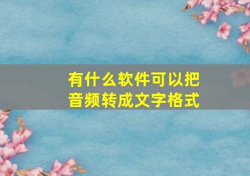 有什么软件可以把音频转成文字格式