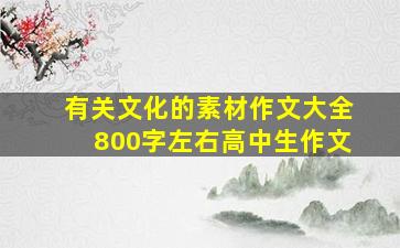 有关文化的素材作文大全800字左右高中生作文