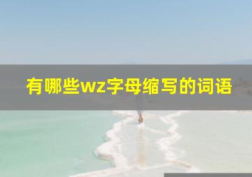 有哪些wz字母缩写的词语