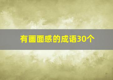 有画面感的成语30个