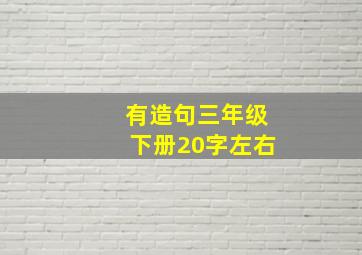 有造句三年级下册20字左右