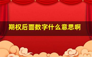 期权后面数字什么意思啊