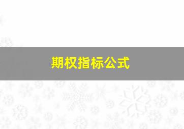 期权指标公式