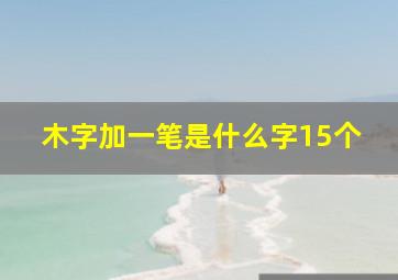 木字加一笔是什么字15个