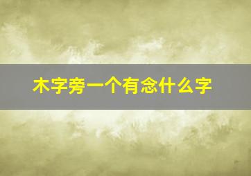 木字旁一个有念什么字