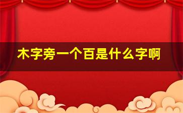 木字旁一个百是什么字啊