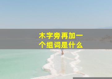 木字旁再加一个组词是什么