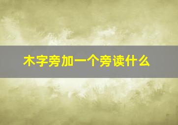 木字旁加一个旁读什么