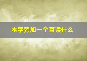 木字旁加一个百读什么