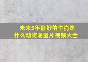 未来5年最好的生肖是什么动物呢图片视频大全