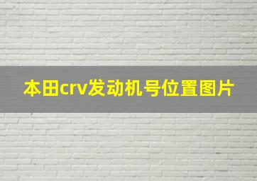 本田crv发动机号位置图片