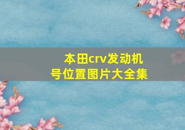 本田crv发动机号位置图片大全集