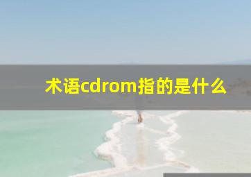 术语cdrom指的是什么