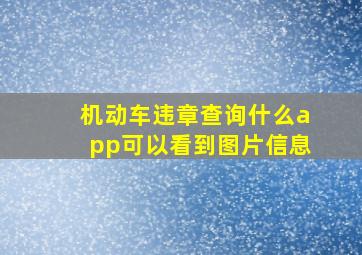 机动车违章查询什么app可以看到图片信息