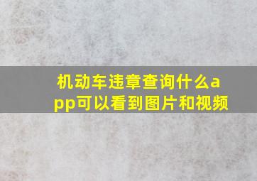 机动车违章查询什么app可以看到图片和视频