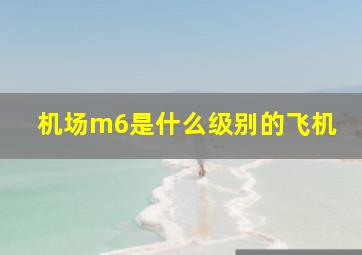 机场m6是什么级别的飞机