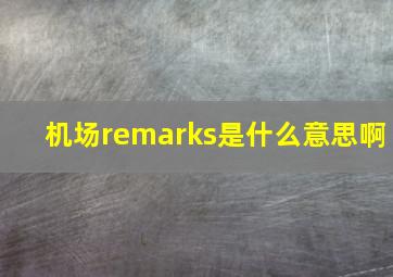 机场remarks是什么意思啊