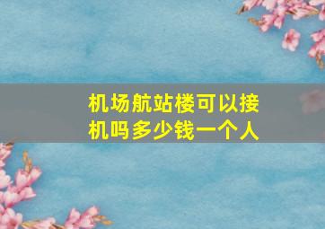 机场航站楼可以接机吗多少钱一个人