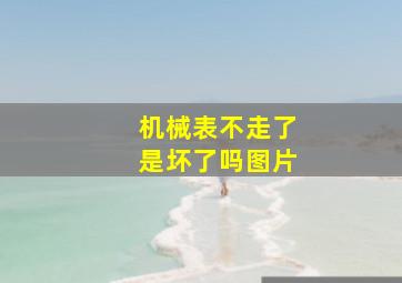 机械表不走了是坏了吗图片