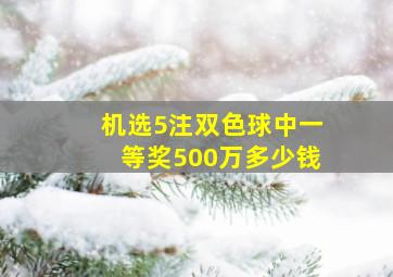 机选5注双色球中一等奖500万多少钱