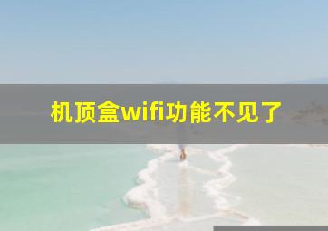 机顶盒wifi功能不见了