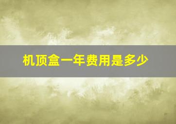 机顶盒一年费用是多少