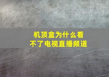 机顶盒为什么看不了电视直播频道