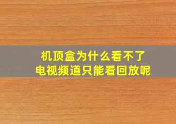 机顶盒为什么看不了电视频道只能看回放呢